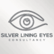 Silver Lining Eyes
